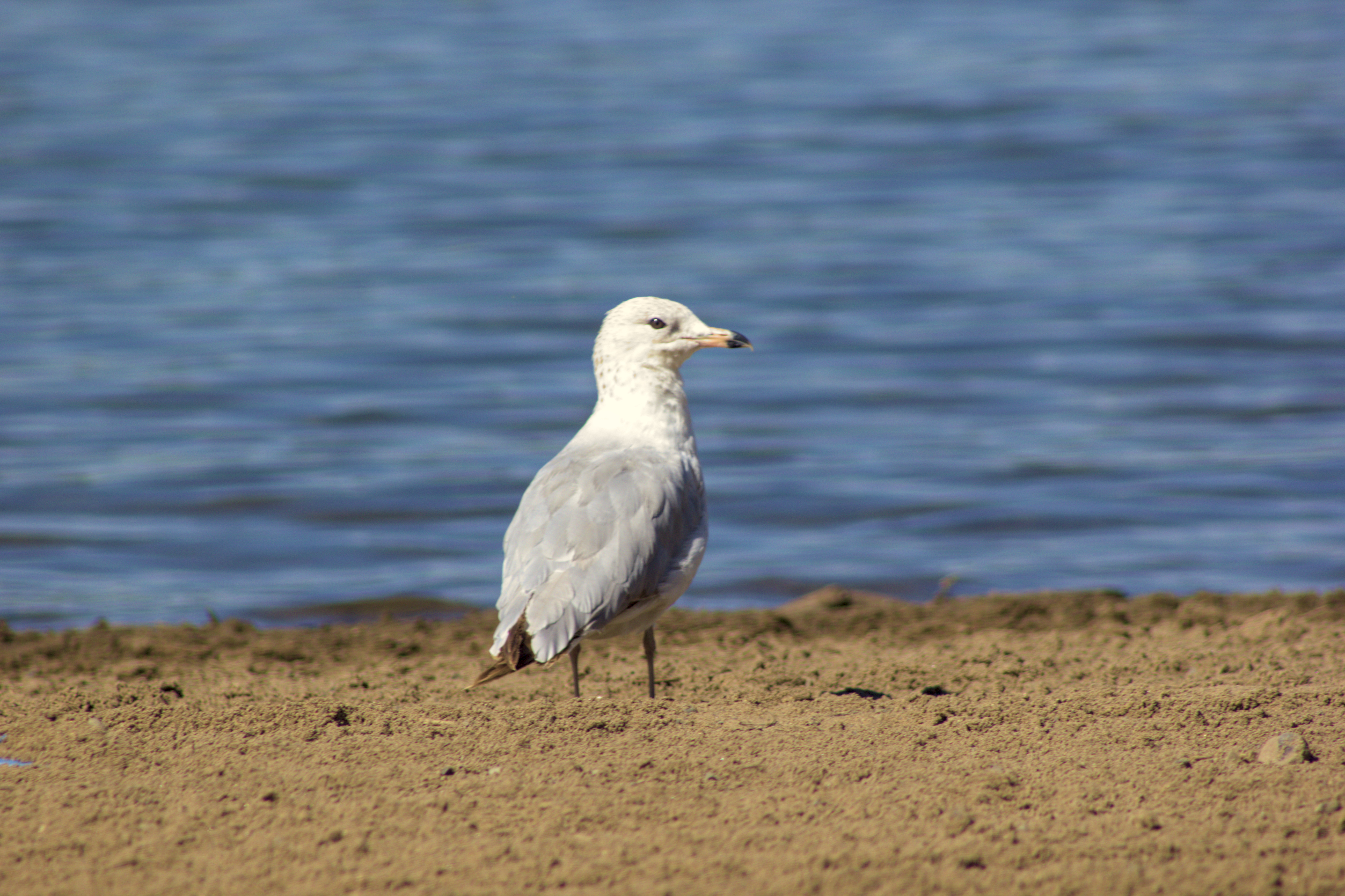 nature and landscape photo